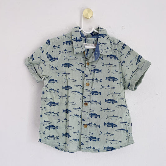 Zara - Shirt - 9-12 months